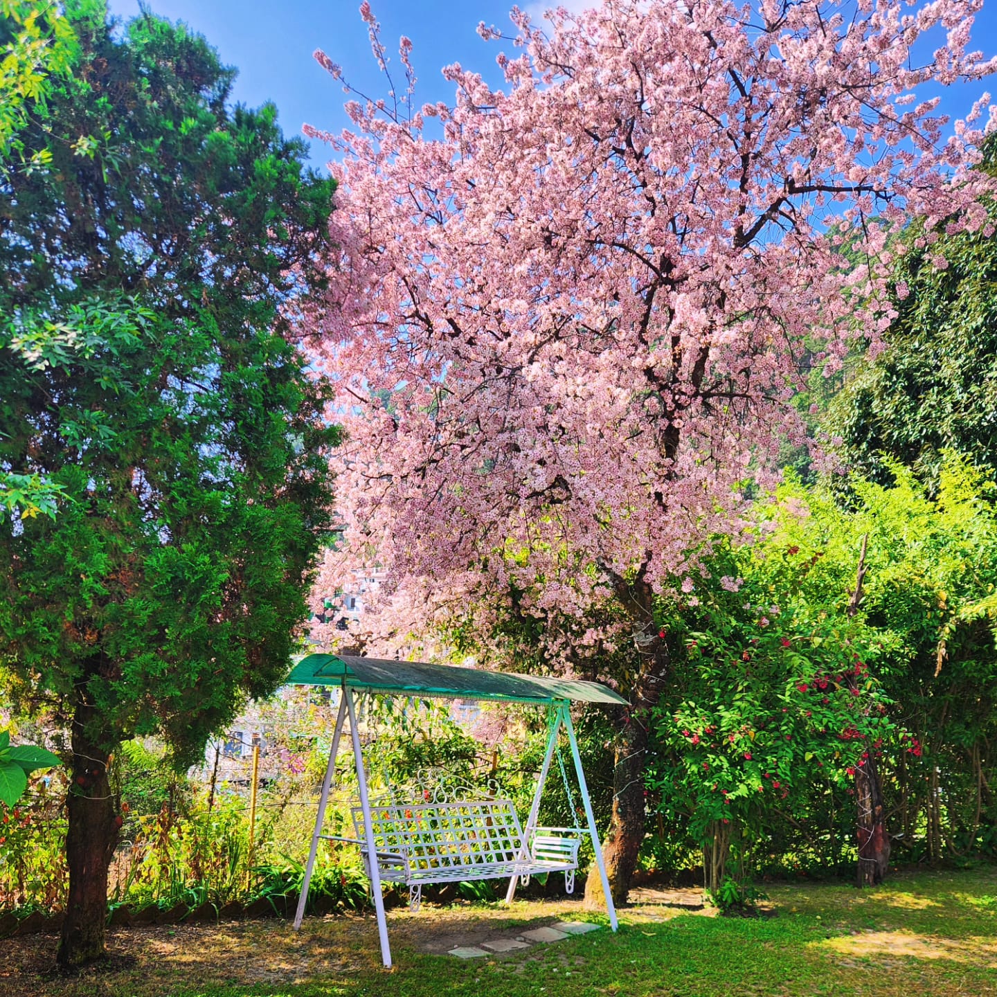 Amanda Green Heritage